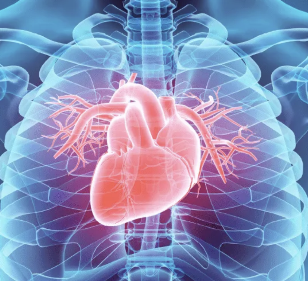 alcohol-hypertension-cardiovascular-health Alcohol consumption, hypertension, and cardiovascular health