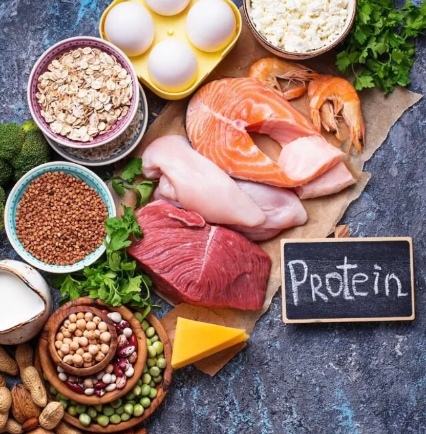 animal-protein-sources-best-foods-benefits-nutrition.jpg