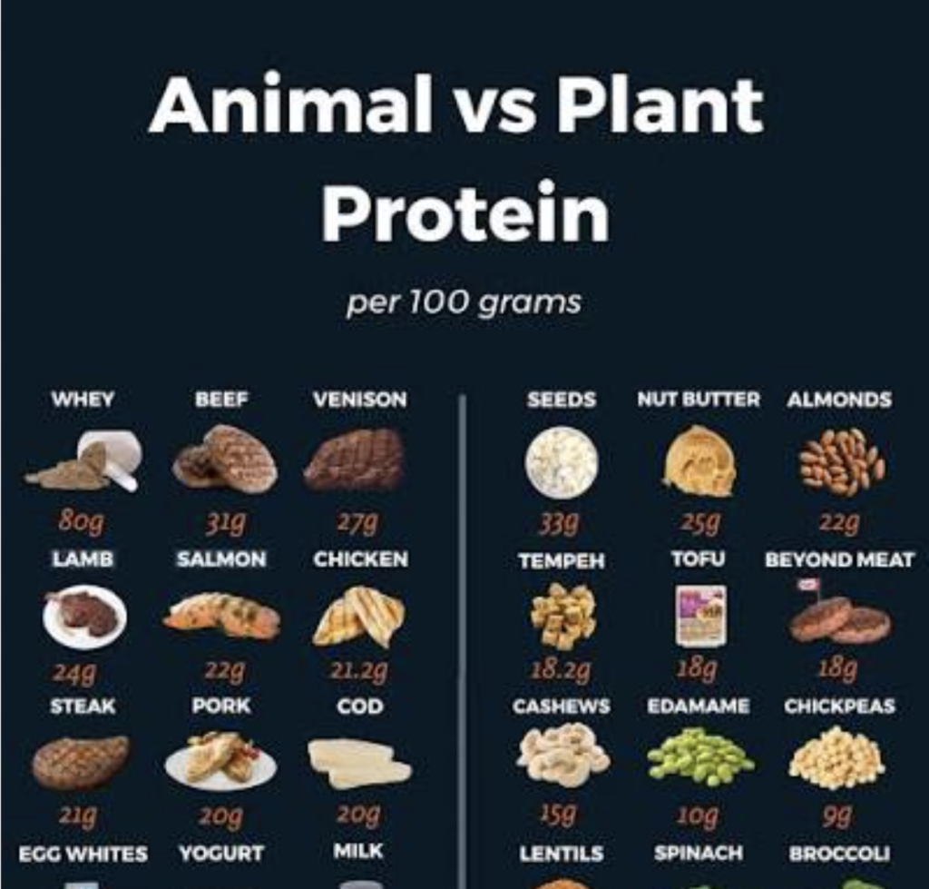 animal-protein-vs-plant-protein-comparison Comparison of animal protein and plant protein foods