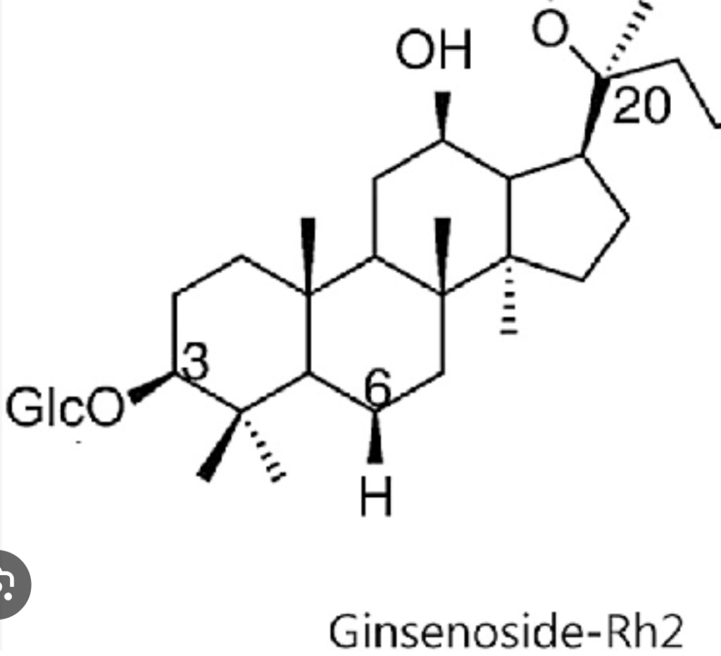 ginsenosides-korean-red-ginseng Korean red ginseng roots and extract containing naturally occurring ginsenosides