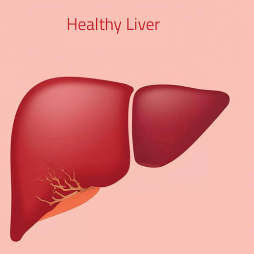 Healthy weight management and liver health