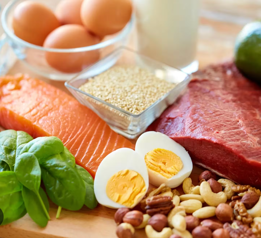 what-is-animal-protein-sources-foods Animal protein foods including fish, eggs, chicken, dairy, and lean meat