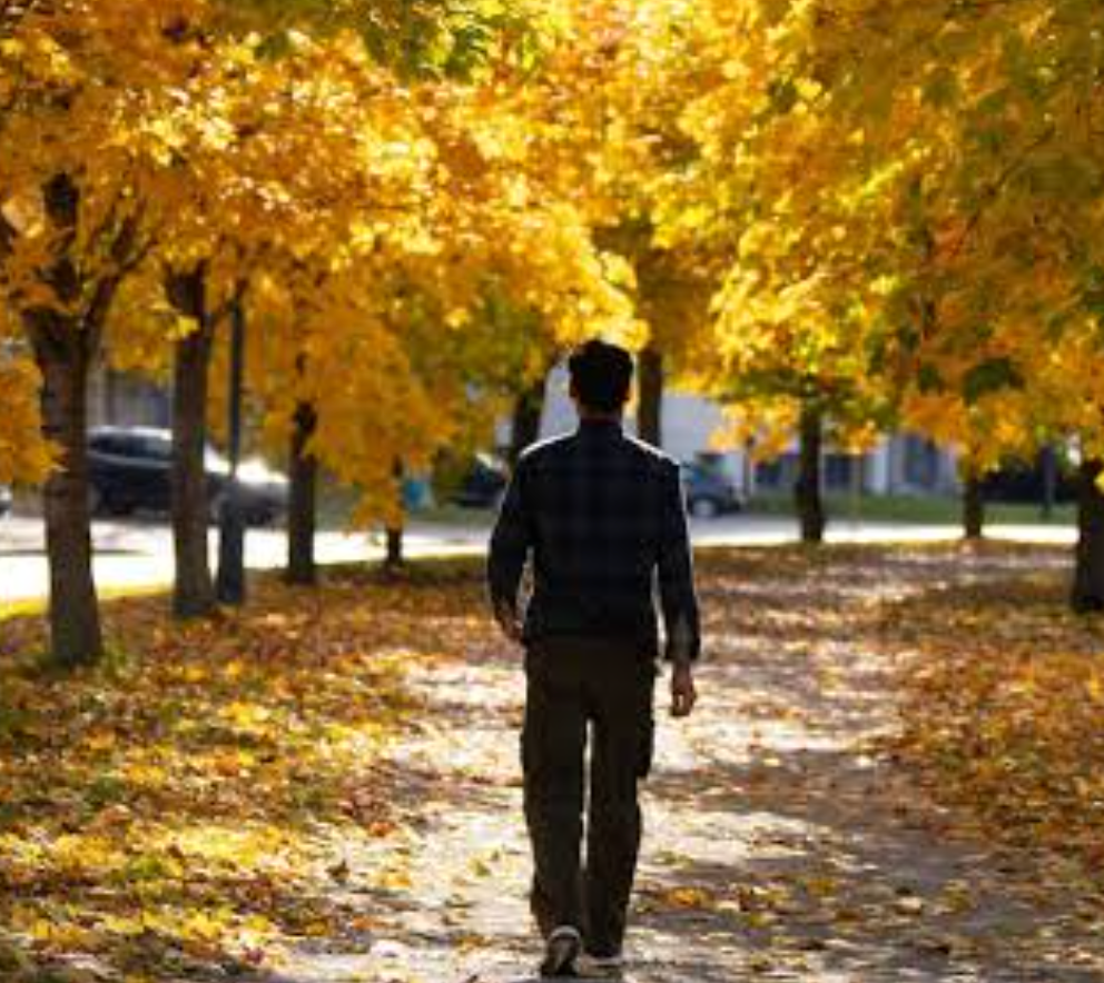 what-is-walking-importance-for-health What is walking and why walking is important for health